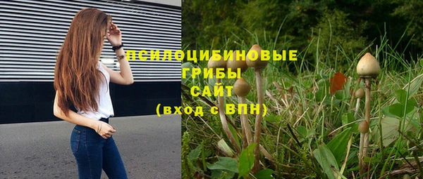 a pvp Бронницы