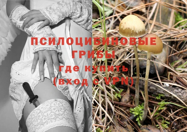 a pvp Бронницы