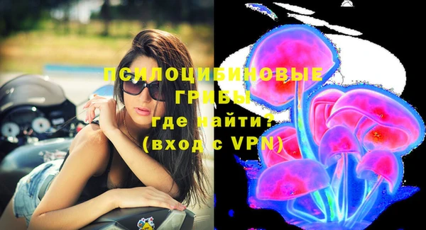 стаф Богданович