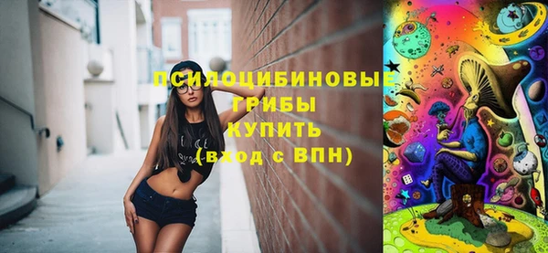 прущая мука Бородино