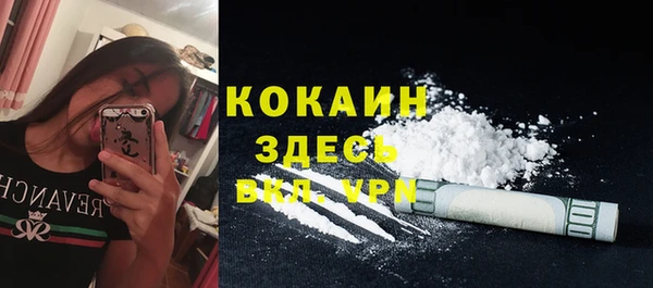 прущая мука Бородино